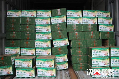 警民攜手 共克時艱 愛心企業(yè)為新野公安民警 輔警捐贈防護(hù)用品和生活物資